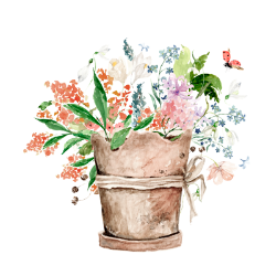 朝のイメージの花のイラスト
