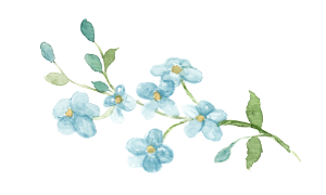 インテリアのイラスト