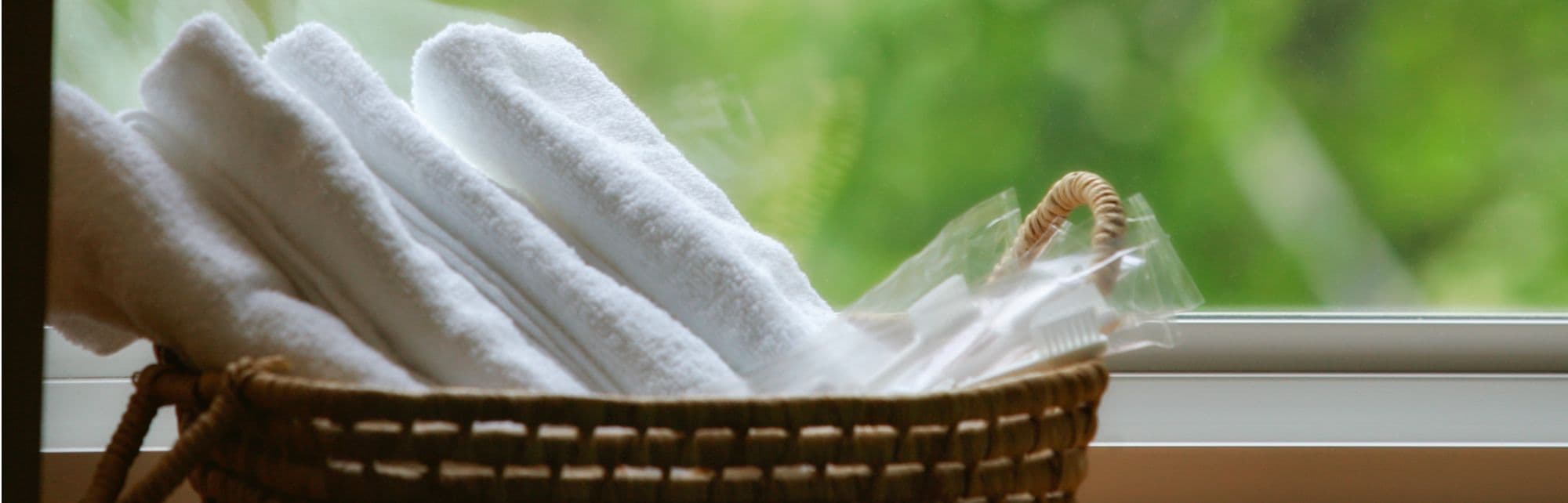 遊々舎の爽やかな内観写真